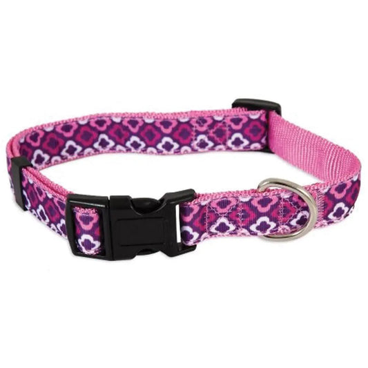 Aspen pet collar