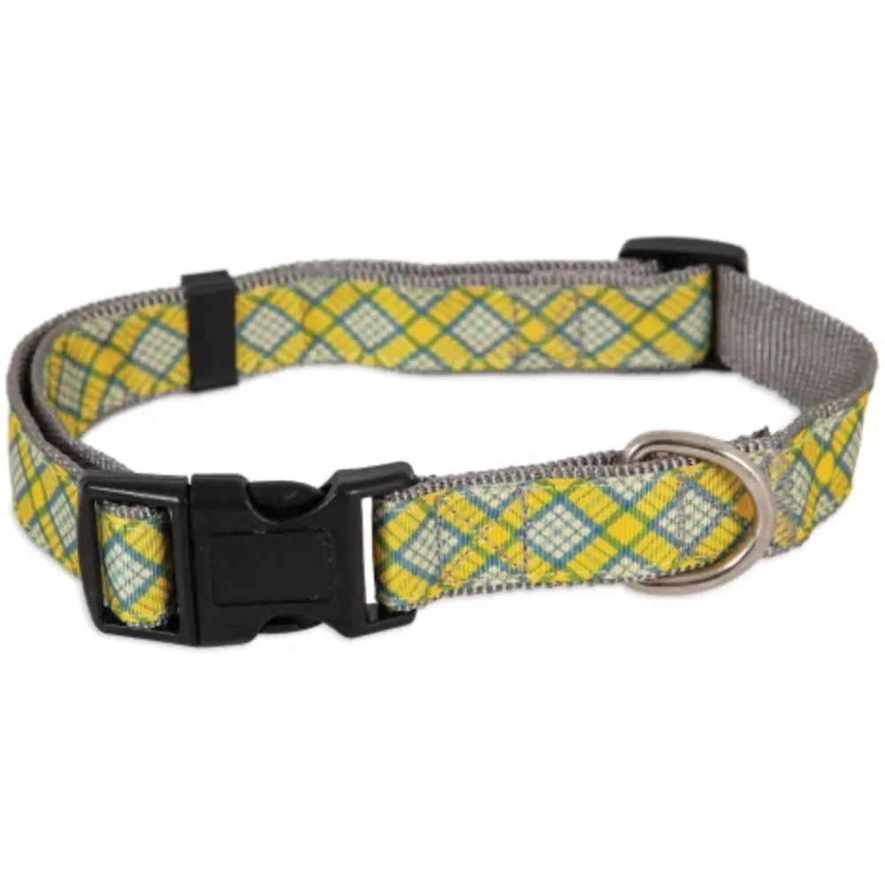Aspen pet collar