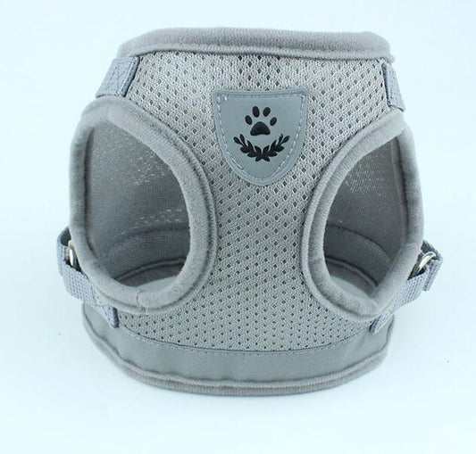 Dog Harness and Leash Set