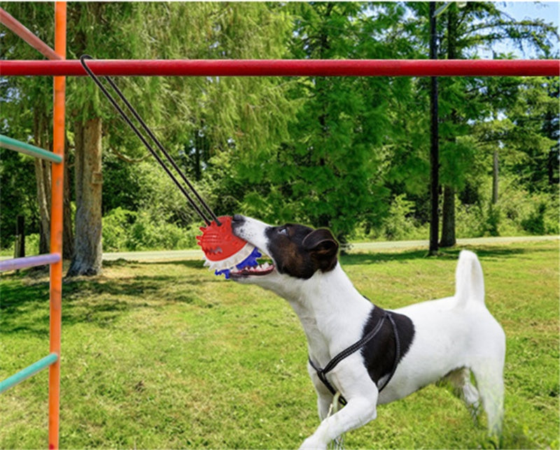 Dog Teething and Bite Resistant Rope Ball