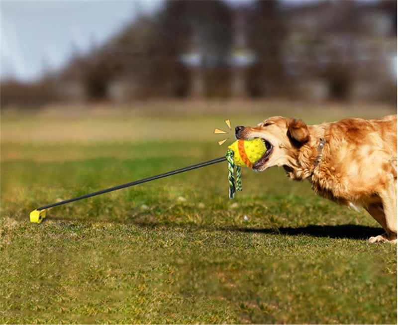Dog Teething and Bite Resistant Rope Ball