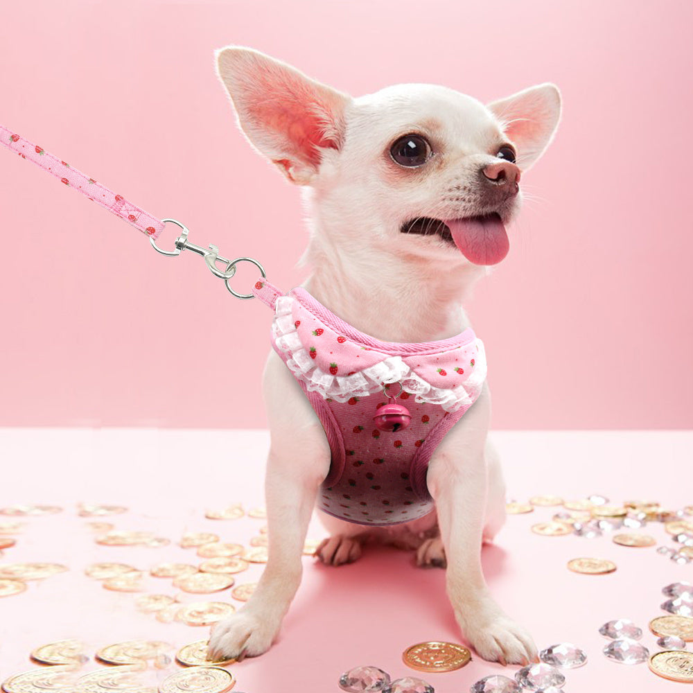 Dog/Cat Bell Harness and Leash Set