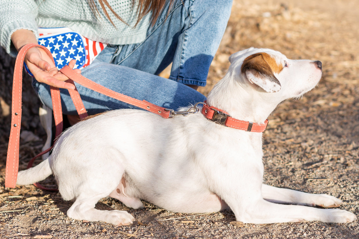 Red/ Orange Leather Dog Collar with Metal Buckle