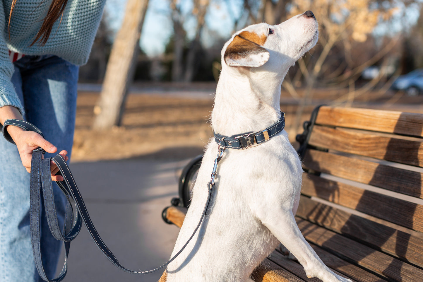 Blue Leather Dog Collar with Metal Buckle