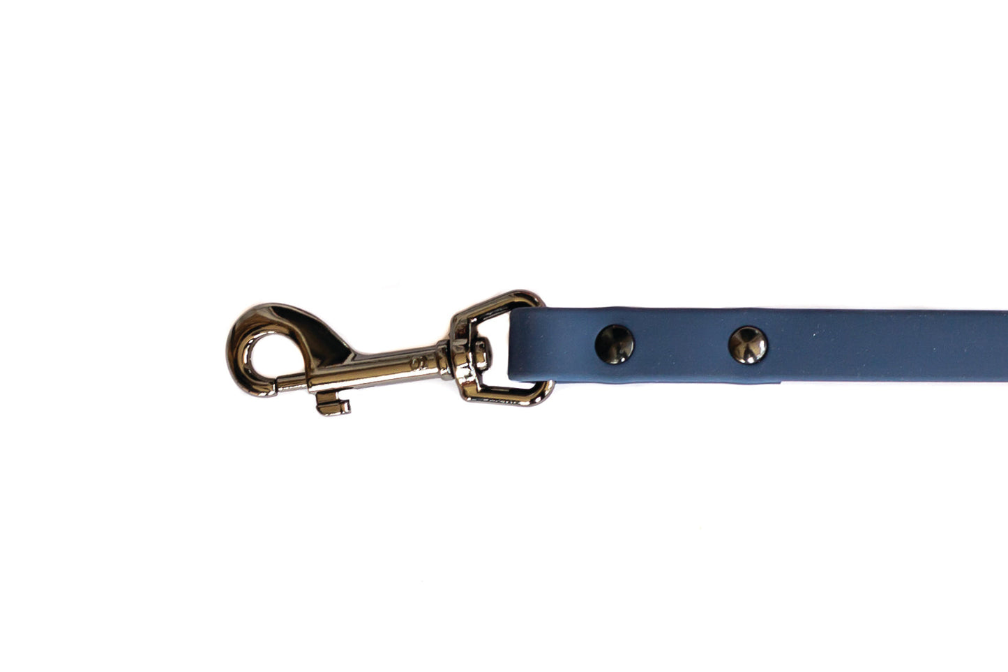 Waterproof Blue PVC Dog Leash
