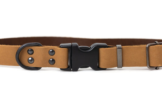 Sporty Khaki Leather Dog Collar