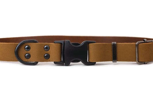 Sporty Earth-Brown Leather Dog Collar