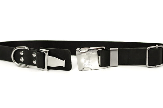 Modern Quick-Release Midnight Black Leather Collar