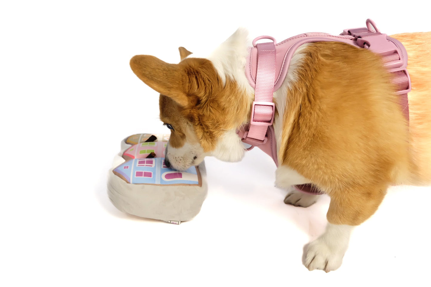 Painted Ladies Dog Plush Toy