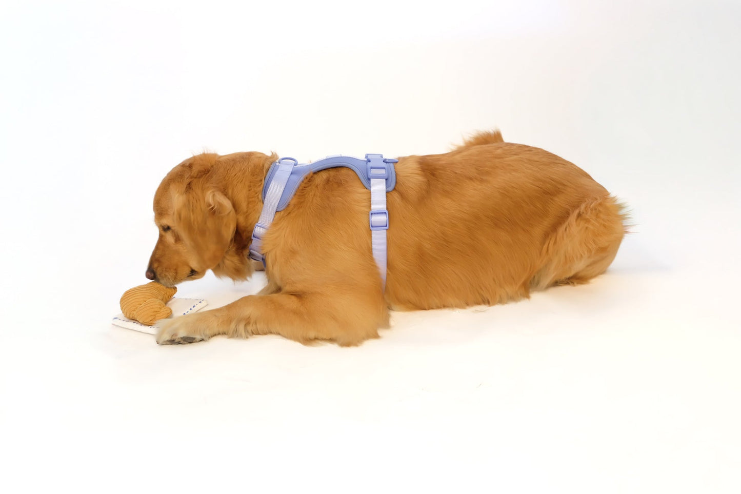 Croissant Plush Toy