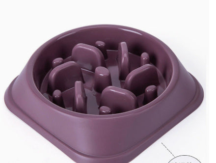 Slow Feeding Dog Bowl