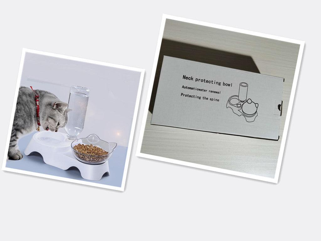 Tilted Pet Feeder Cat Bowl