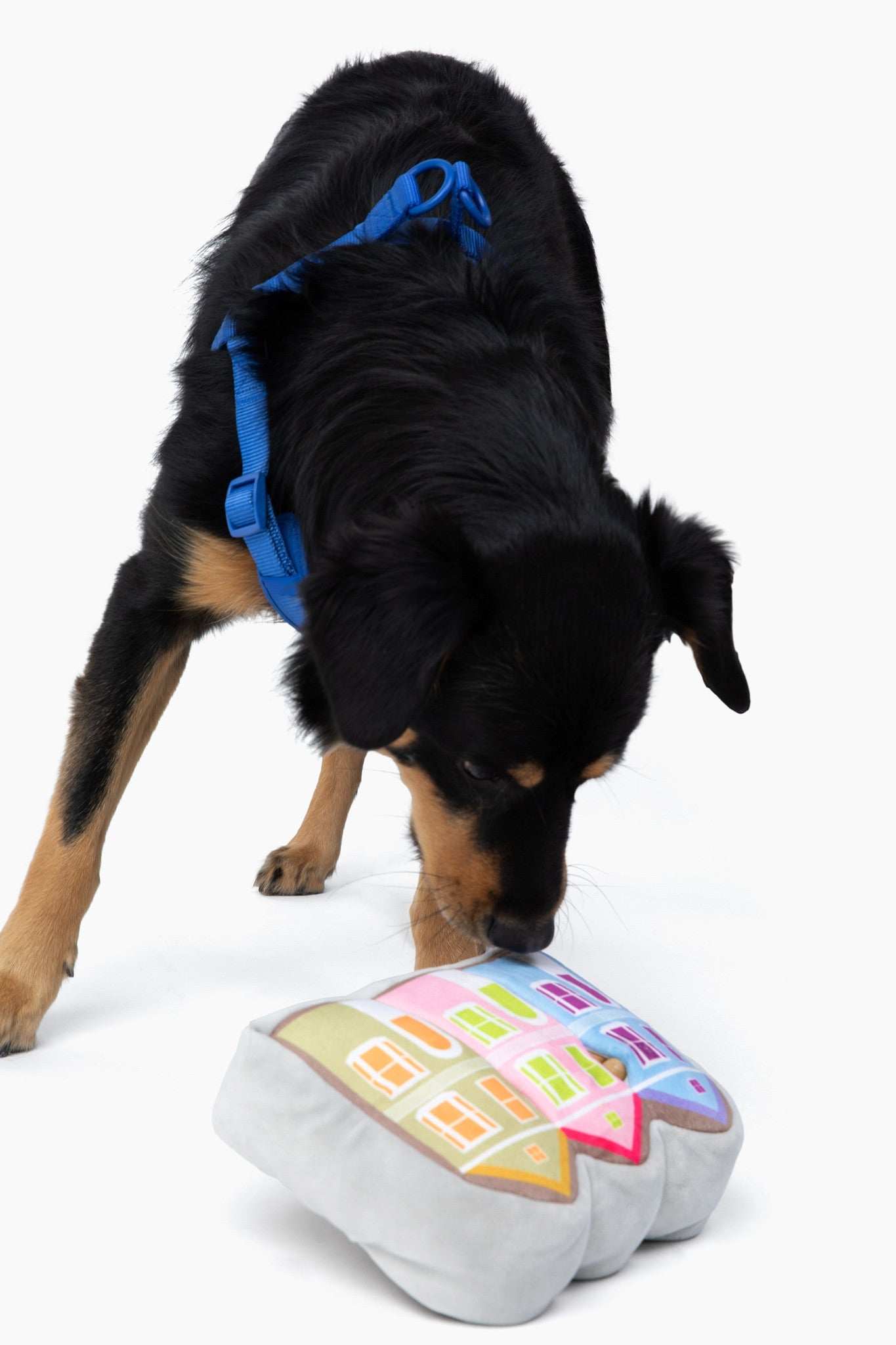 Painted Ladies Dog Plush Toy