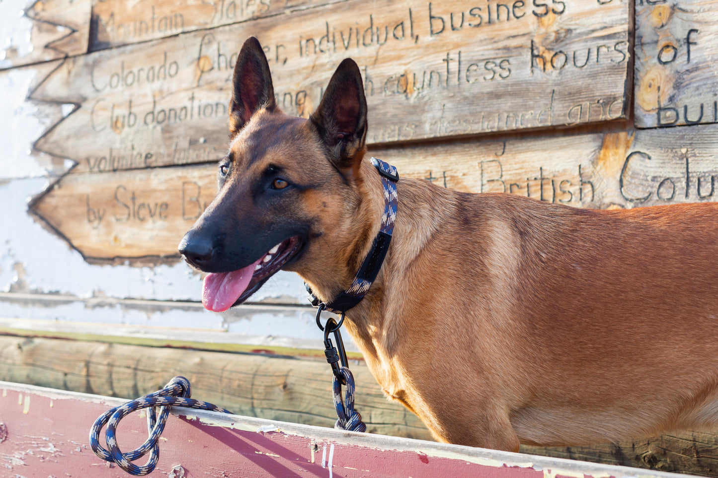 Adventure Style Argyle Climbing Dog Leash