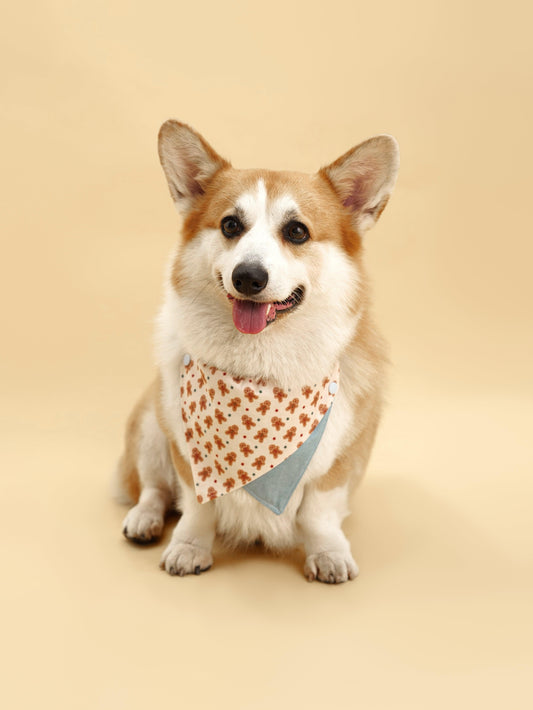 Gingerbread Man Pet Bandana