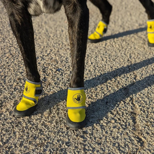 Body Glove Dog Booties