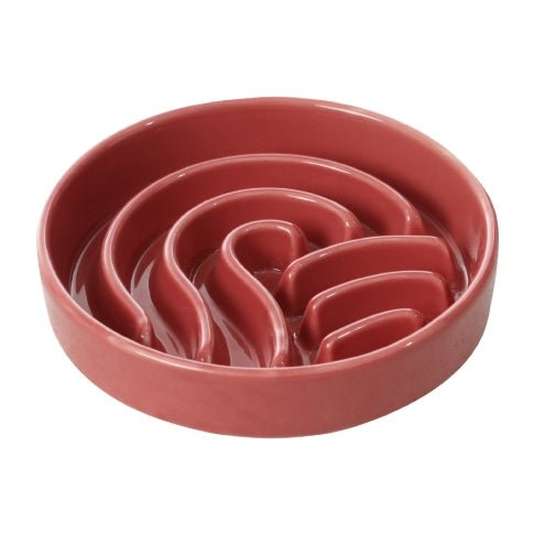 Raised Slow Feeder Dog Bowls