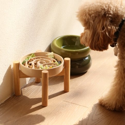 Raised Slow Feeder Dog Bowls