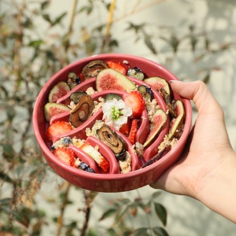 Raised Slow Feeder Dog Bowls