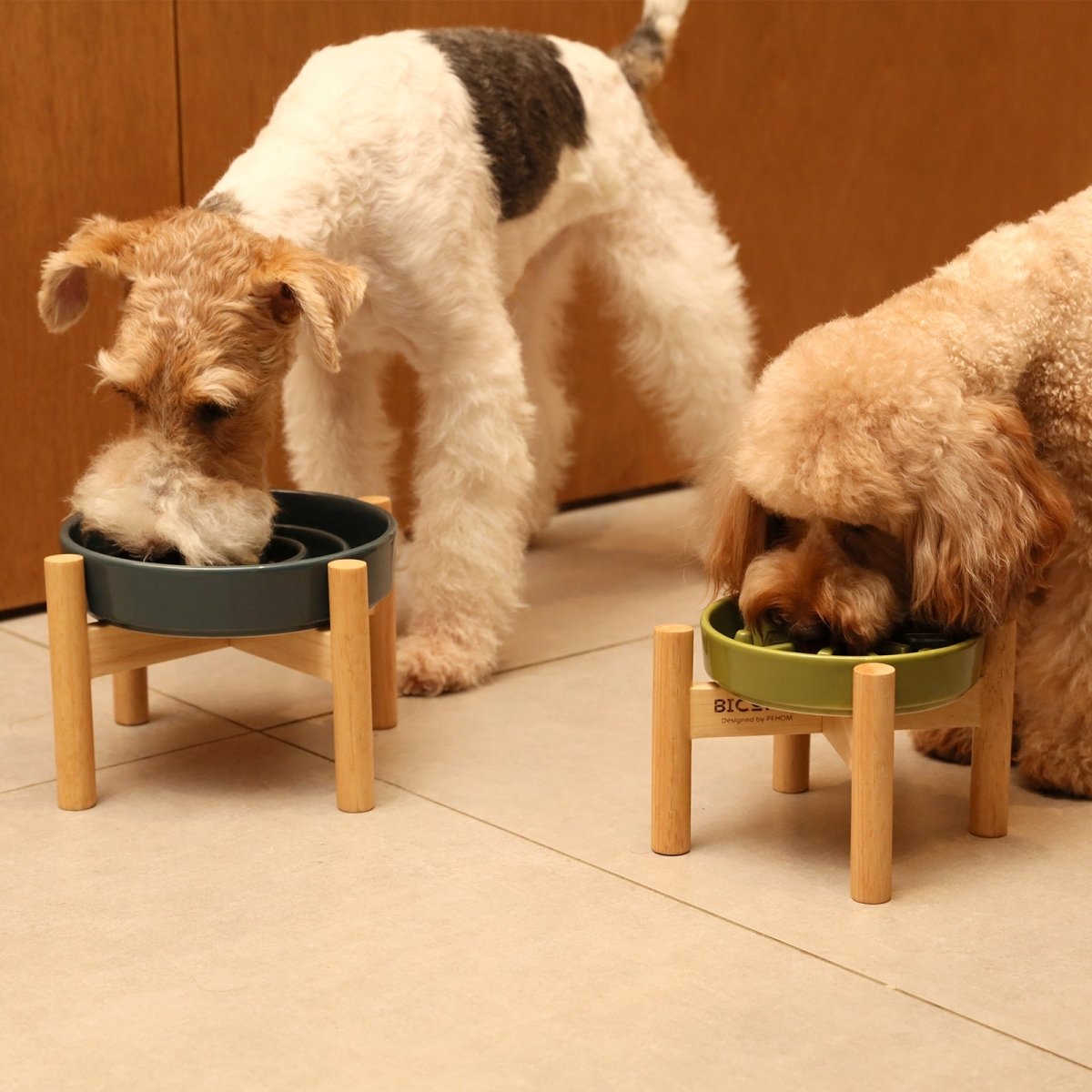 Raised Slow Feeder Dog Bowls