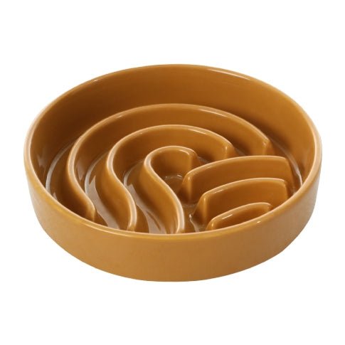 Raised Slow Feeder Dog Bowls
