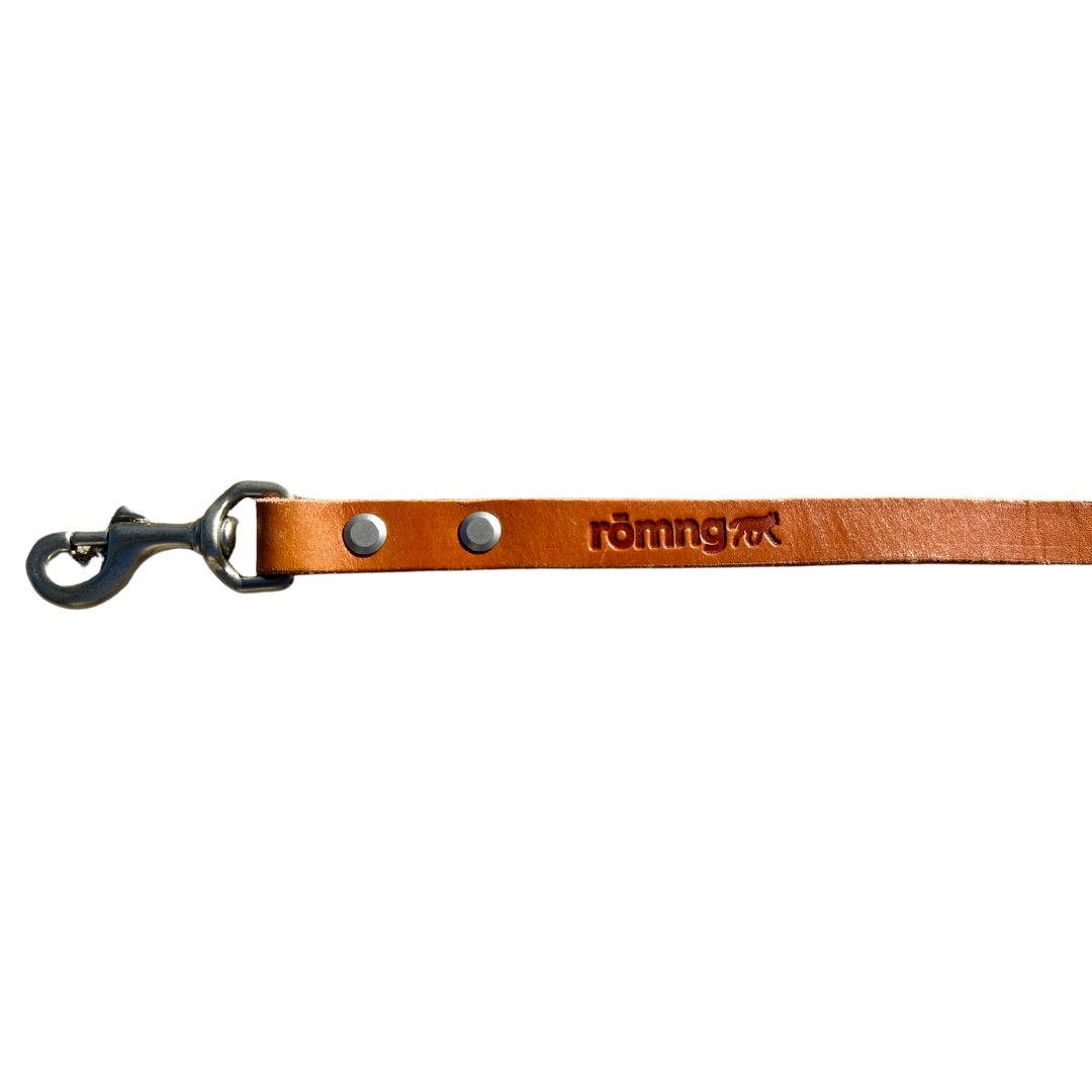 48" Genuine Leather Dog Leashes