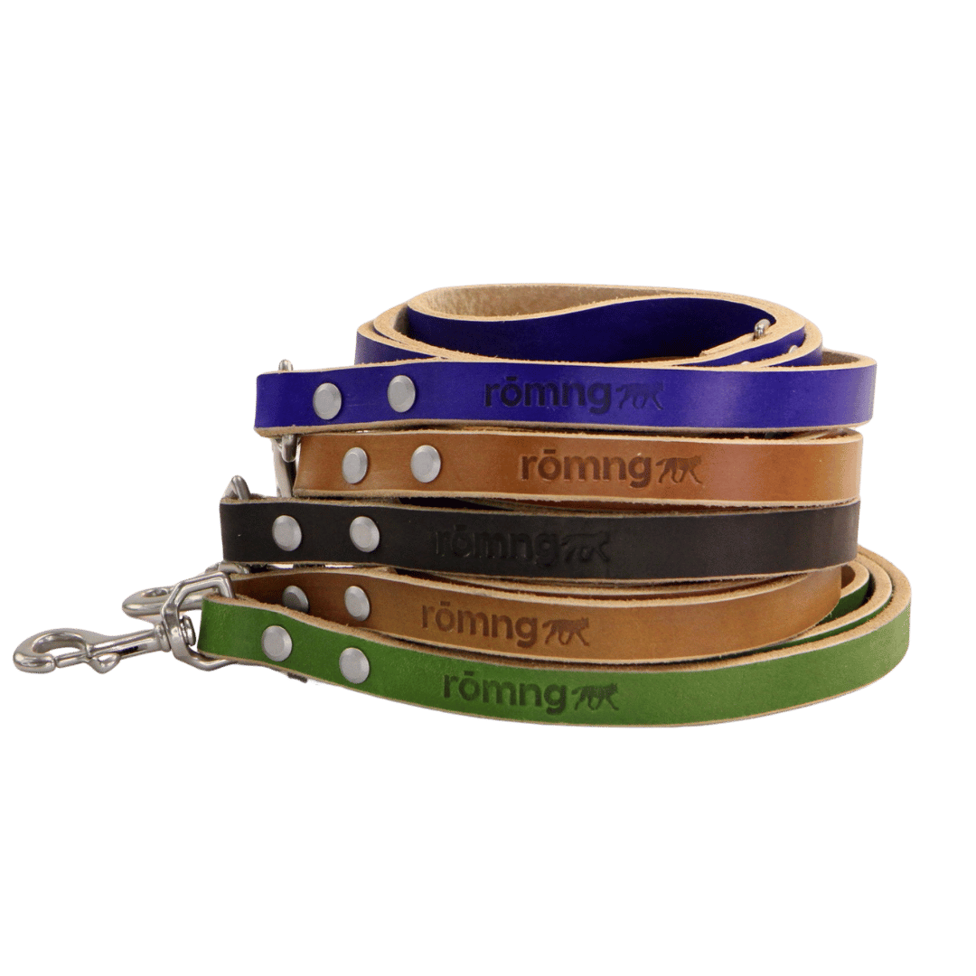 48" Genuine Leather Dog Leashes
