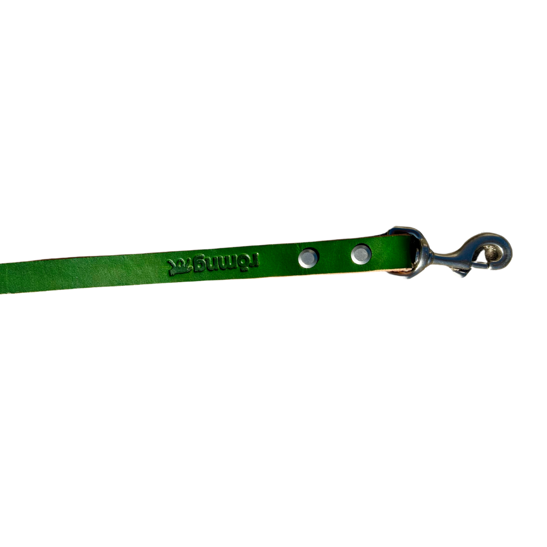 48" Genuine Leather Dog Leashes