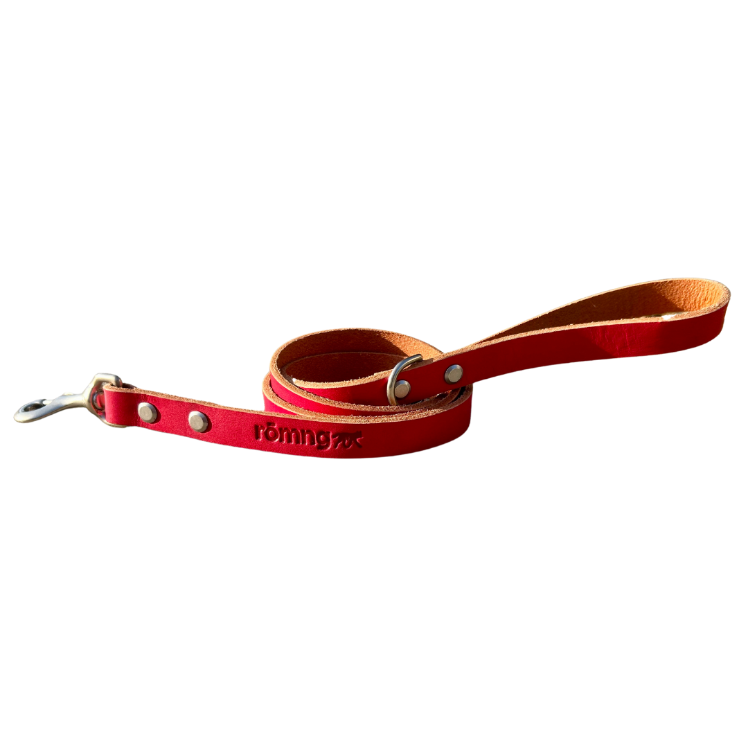 48" Genuine Leather Dog Leashes