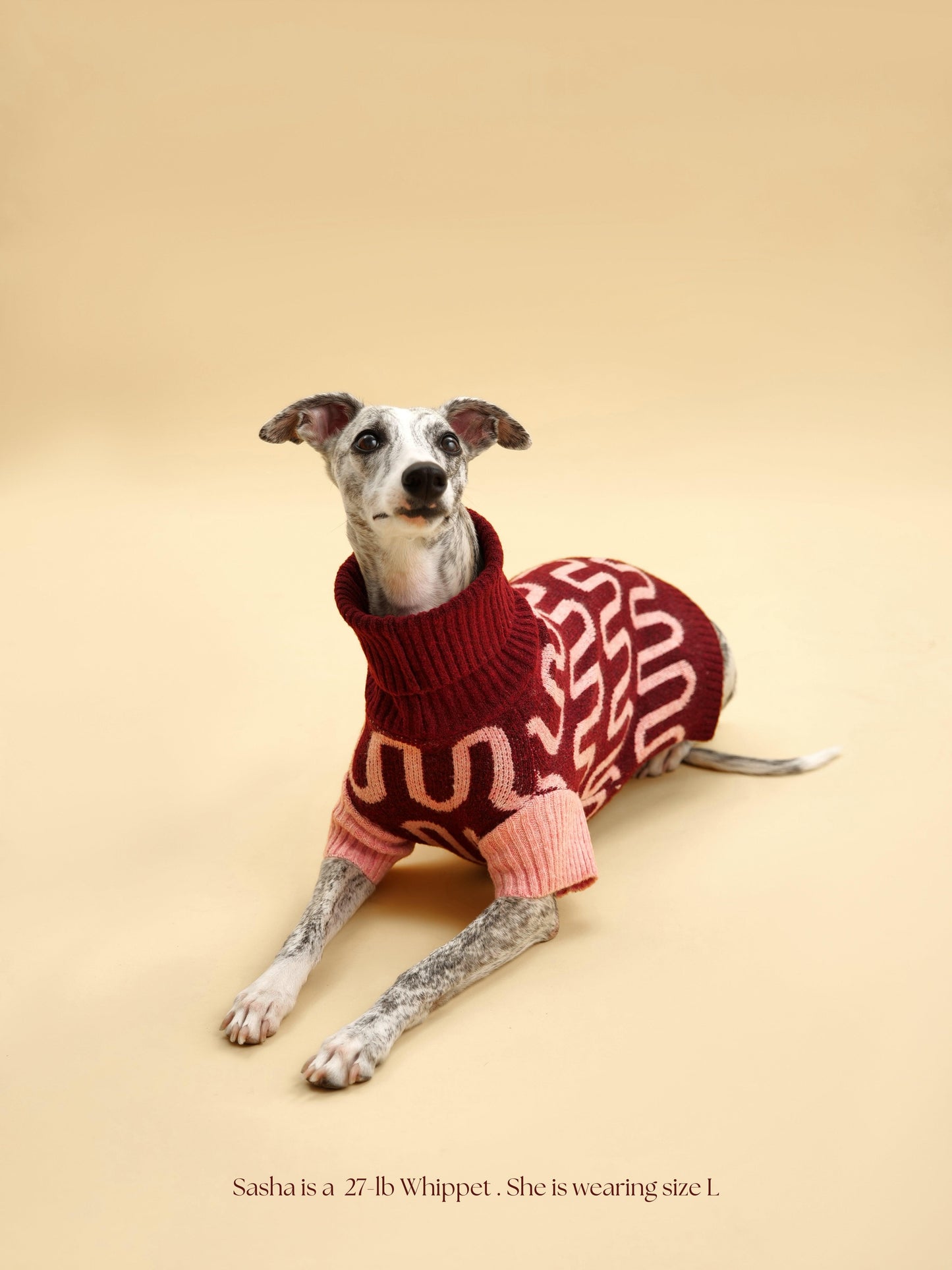 Dog Rosé Bliss Sweater