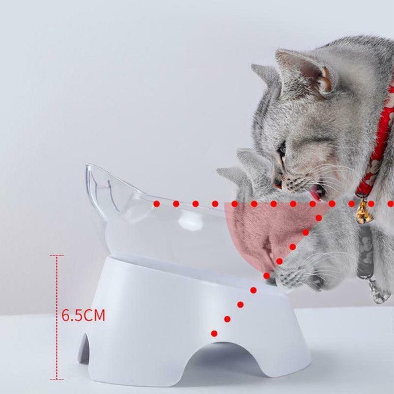Tilted Pet Feeder Cat Bowl