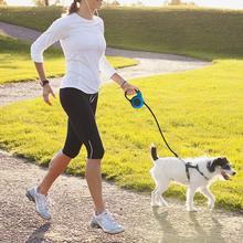 Pet Automatic Traction Leash