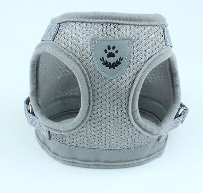 Dog Harness and Leash Set