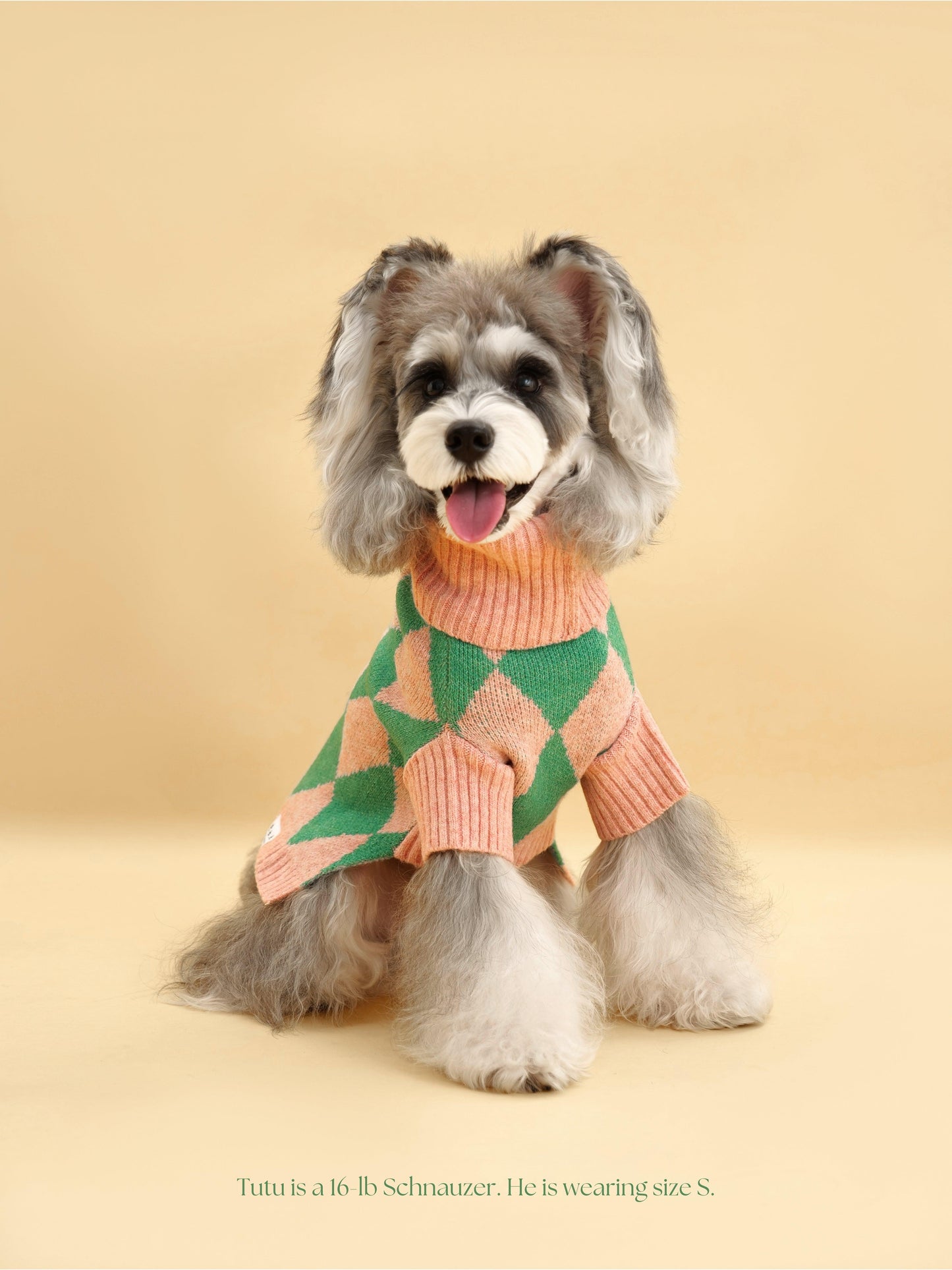 Dog Brooklyn Sweater