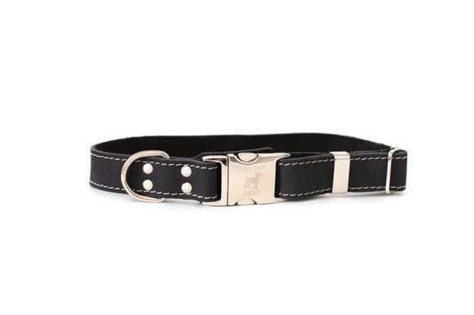 Quick-Release Midnight Black Buckle Leather Dog Collar