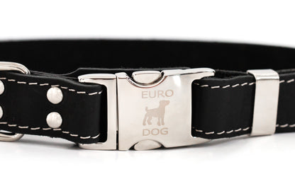 Quick-Release Midnight Black Buckle Leather Dog Collar