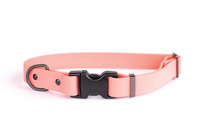 Waterproof Coral Reef Soft PVC Dog Collar