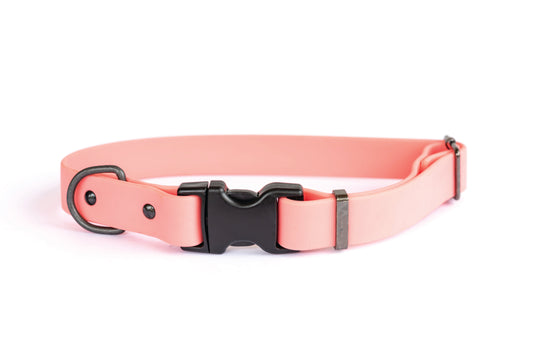 Waterproof Coral Reef Soft PVC Dog Collar