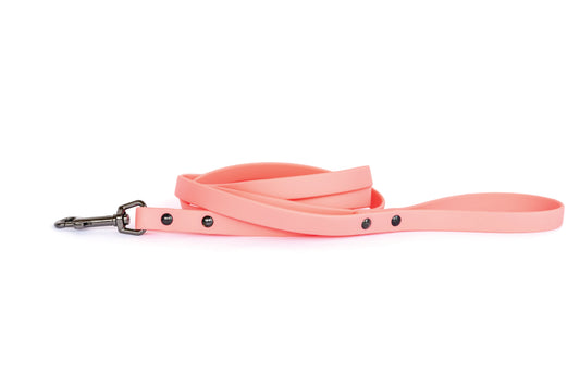 Waterproof Coral Reef Soft PVC Dog Leash