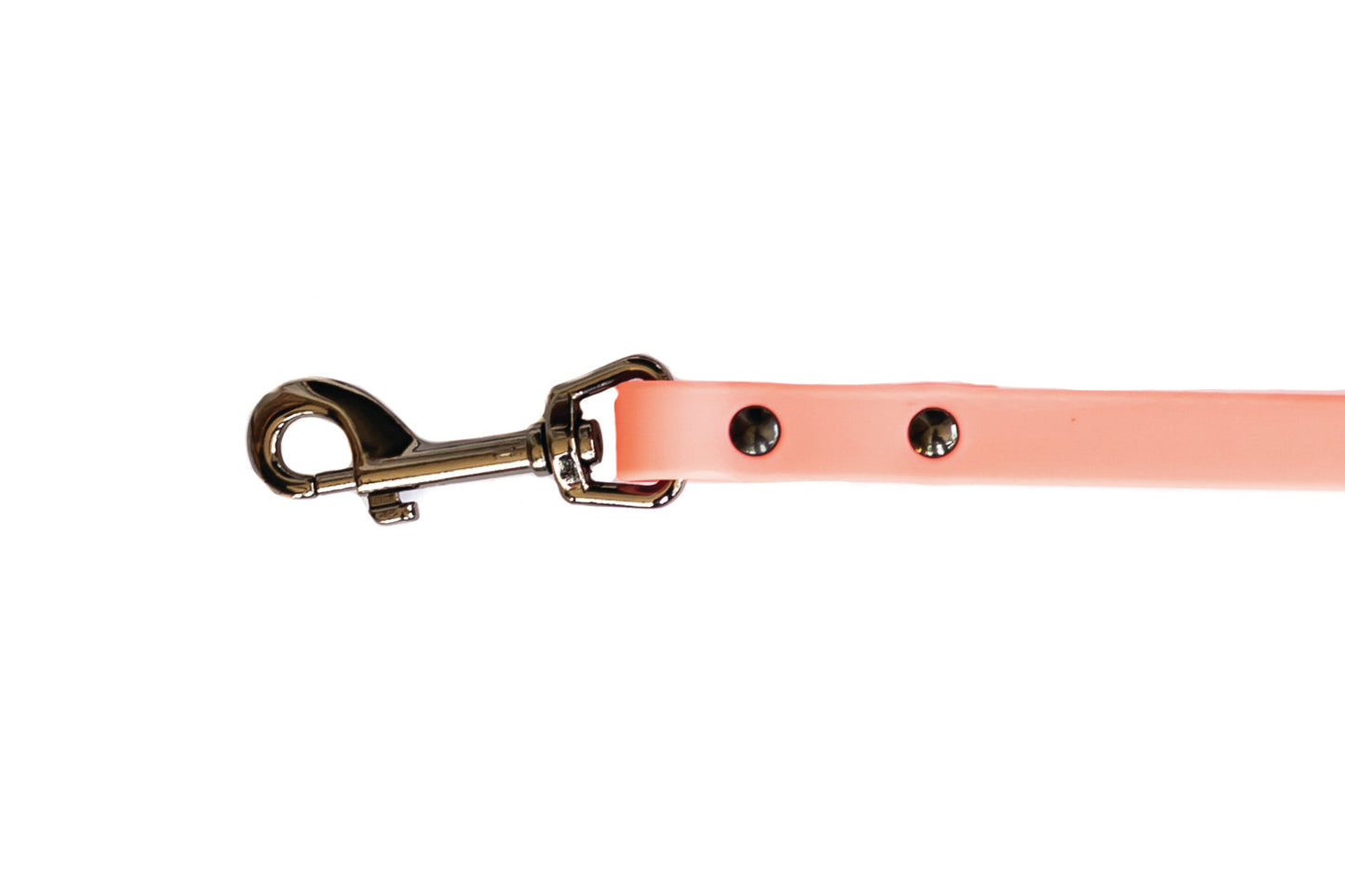 Waterproof Coral Reef Soft PVC Dog Leash