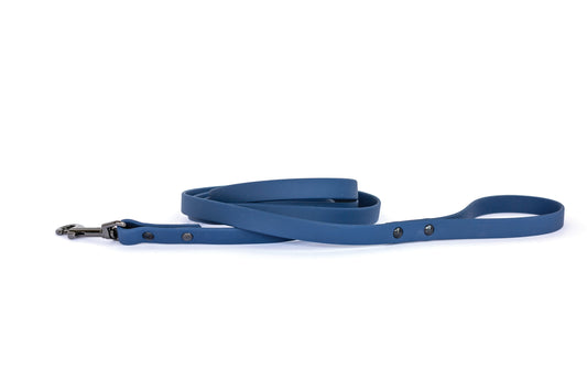 Waterproof Blue PVC Dog Leash
