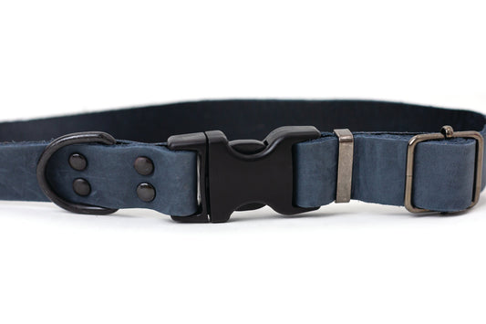 Sport Style Blue Leather Dog Collar