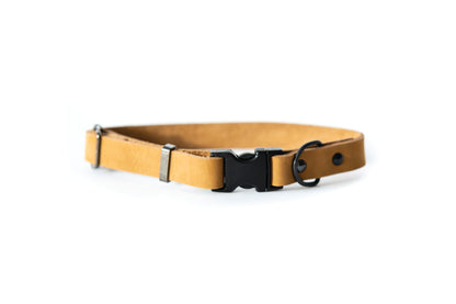 Sporty Khaki Leather Dog Collar