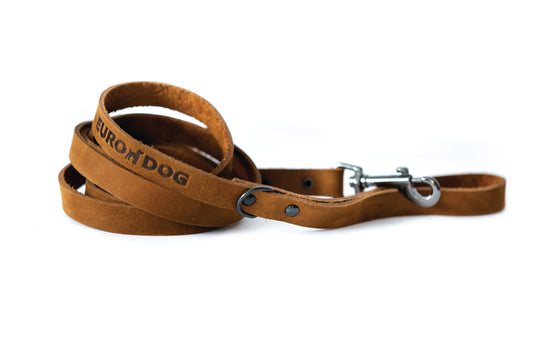 Sporty Earth-Brown Leather Leash