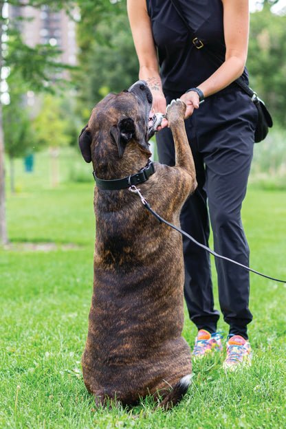 Sporty Midnight Black Leather Leash
