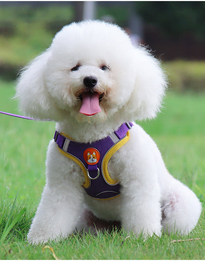 Dog Harness/ Cat Harness and Reflective Leash