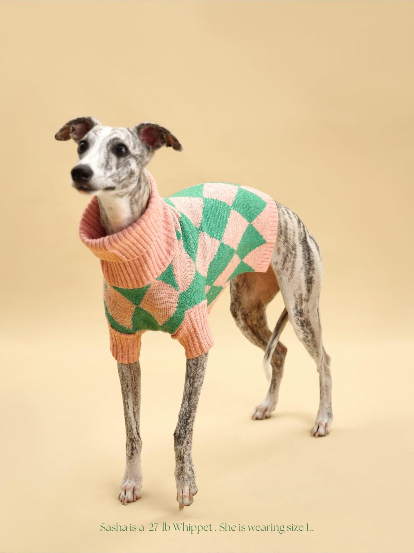 Dog Brooklyn Sweater