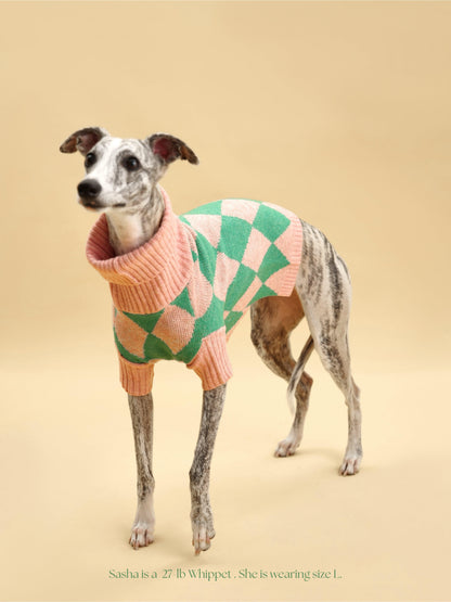 Dog Brooklyn Sweater