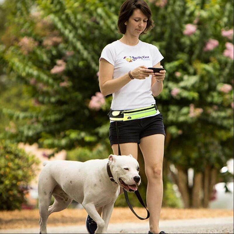 Hands Free Dog Belt Leash