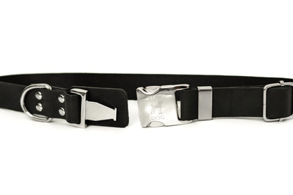 Modern Quick-Release Midnight Black Leather Collar